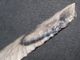 4000j.  A: Herausragend Dolch 172mm Feuerzeug Steinzeit Neolithikum Silex Flint Antike Bild 11