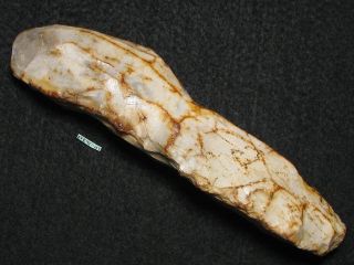 10500j.  A: Spitz Beil Spitzwaffe 189mm Steinzeit Mesolithikum Feuerstein Bild