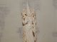 Antike Bein Figur China Um 1900 Auf Holz Sockel S Sehr Fein Beinarbeiten Bild 8