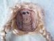 Alte Puppenteile Blonde Zoepfe Lang Haar Perücke Vintage Doll Hair Wig 40cm Girl Puppen & Zubehör Bild 5