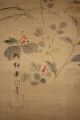 Japanisches Rollbild Kakejiku Gänse Und Kraniche Japan Scroll Geese Cranes 1275 Asiatika: Japan Bild 10