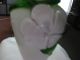 Vase,  Jugendstil In Weiß/rosa Mit Weißer Blüte Und Grünem Blattwerk.  21 Cm Sammlerglas Bild 3