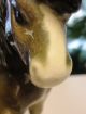 Schönes Goebel Porzellan Pferd,  Seltenes Sammlerobjekt Nach Marke & Herkunft Bild 5