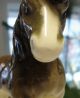 Schönes Goebel Porzellan Pferd,  Seltenes Sammlerobjekt Nach Marke & Herkunft Bild 6