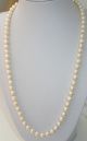 Jugendstil Echte Perlen Kette Perlenkette 333er Gold Verschluß 32 Gr.  Top Schmuck nach Epochen Bild 2