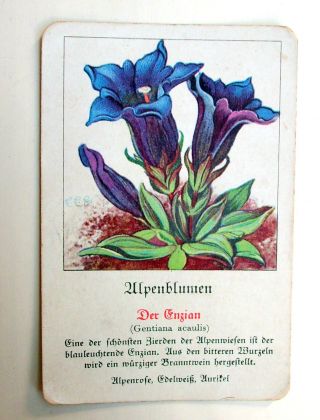 Antikes Blumen Quartett Chromolithographien Kompl.  Emil Ernst Heinsdorff Selten Bild