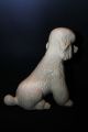 Pudel Hund Figur,  Statue,  Keramik,  Höhe 30 Cm,  Top Design Nach Form & Funktion Bild 3