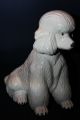 Pudel Hund Figur,  Statue,  Keramik,  Höhe 30 Cm,  Top Design Nach Form & Funktion Bild 4