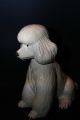 Pudel Hund Figur,  Statue,  Keramik,  Höhe 30 Cm,  Top Design Nach Form & Funktion Bild 5