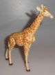 Lineol - Elastolin Giraffe Großes Tier Wildtier 30 - 50er Jahre Gefertigt nach 1945 Bild 1