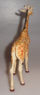 Lineol - Elastolin Giraffe Großes Tier Wildtier 30 - 50er Jahre Gefertigt nach 1945 Bild 3