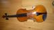 Alte Geige Violine Violin 4/4 Geige - Aus Sammlungsauflösung Saiteninstrumente Bild 2
