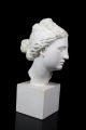 Schöne Gips Büste Kopf D.  Medici Venus Aphrodite Guss Skulptur M.  Sockel 25cm 1950-1999 Bild 1