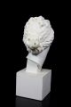 Schöne Gips Büste Kopf D.  Medici Venus Aphrodite Guss Skulptur M.  Sockel 25cm 1950-1999 Bild 2