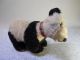 Steiff Tier Bär Teddy Panda Pandabär Nur 50er Jahre Vierfüssig Kopf Drehbar Steiff Bild 6
