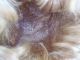 Alte Puppenteile Hellblonde Haar Perücke Vintage Doll Hair Wig Fuer 50 Cm Boy Puppen & Zubehör Bild 5