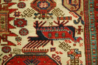 Antiker Teppich Schirwan Ca: 266x165cm Antique Rug Tapis Tppeto Bild