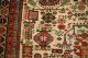 Antiker Teppich Schirwan Ca: 266x165cm Antique Rug Tapis Tppeto Teppiche & Flachgewebe Bild 8