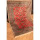 Fein Handgeknüpfter Orient Buchara Jomut Teppich Carpet Tappeto Tapis 130x190cm Teppiche & Flachgewebe Bild 1