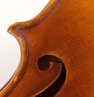 One Life Chance Old 4/4 Violin Label L.  Bisiach 1922 Geige Violon ヴァイオリン 小提琴 Top Bild