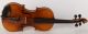 One Life Chance Old 4/4 Violin Label L.  Bisiach 1922 Geige Violon ヴァイオリン 小提琴 Top Saiteninstrumente Bild 2