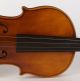One Life Chance Old 4/4 Violin Label L.  Bisiach 1922 Geige Violon ヴァイオリン 小提琴 Top Saiteninstrumente Bild 5