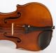 One Life Chance Old 4/4 Violin Label L.  Bisiach 1922 Geige Violon ヴァイオリン 小提琴 Top Saiteninstrumente Bild 6