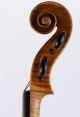 One Life Chance Old 4/4 Violin Label L.  Bisiach 1922 Geige Violon ヴァイオリン 小提琴 Top Saiteninstrumente Bild 7