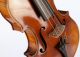 One Life Chance Old 4/4 Violin Label L.  Bisiach 1922 Geige Violon ヴァイオリン 小提琴 Top Saiteninstrumente Bild 8
