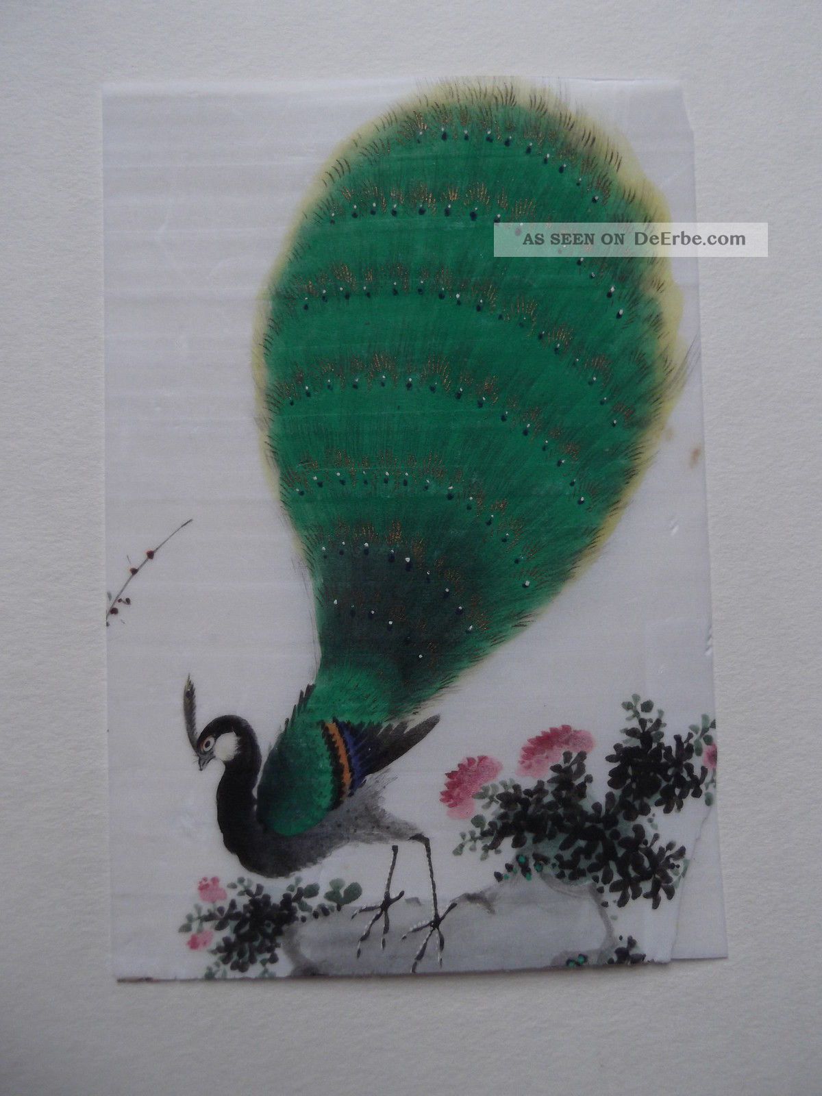 Chinesische Tuschepinsel Zeichnung Pfau Um 1900 Asiatika Asiatika: China Bild