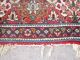 Antiker Perserteppich Taebriez 344 X 241cm Antique Carpet,  Tappeto,  Tapis Nr.  259 Teppiche & Flachgewebe Bild 7