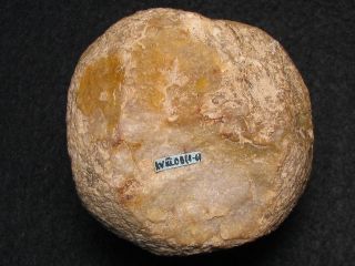 7000j.  A: Schlagstein Hammer Kugel Retuscheur Steinzeit Mesolithikum Silex Bild