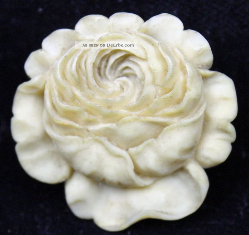 Sehr Fein Geschnitzter Knopf In Form Einer Chrysantheme Vermutlich Asien Um 1900 Nähutensilien Bild