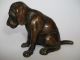 Bronze Hundefigur Sitzender Welpe Tierfigur Signiert Hund Bronze Bild 6