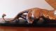 Metall Objekt Schleichende Katze Chrom Auf Platte Gute Arbeit 1950-1999 Bild 2