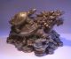 Top Long Gui DrachenschildkrÖte Messing - Bronze Feng Shui Antike Bild 11