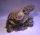 Top Long Gui DrachenschildkrÖte Messing - Bronze Feng Shui Antike Bild 7