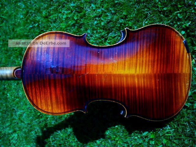 Schöne Violine M.  Zettel 