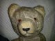 Teddy Bär Bear Antik Rarität Steiff ? Steiff Bild 2