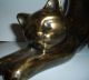 Bronze Figur Skulptur Katze Kätzchen Samtpfote Miau Kunst Art Ab 2000 Bild 1