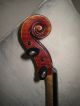 Italienische Meister Geige Soloinstrument (enrico Rocca 1912) Saiteninstrumente Bild 5