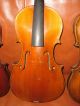 4 Alte Geigen 4 Antique Violins 4 Old Violins Saiteninstrumente Bild 2
