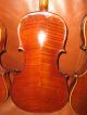 4 Alte Geigen 4 Antique Violins 4 Old Violins Saiteninstrumente Bild 7