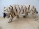 Antik 75cm Taxidermy Toy Tiger Victorian Antiker Tiger Fell Um 1830 - 1900 Antike Bild 9