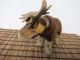 Steiff Elch Moosy Mit Knopf Und Fahne Nr.  1314,  00 Vintage - Alt Tiere Bild 1