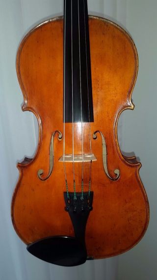 Alte Bratsche 395mm Old Viola Violin Geige Cello Violoncello Mit Zettel,  Stampl Bild
