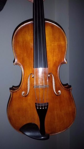 Alte Bratsche 41cm Viola Old Viola Geige Cello Violoncello Mit Zettel Bild