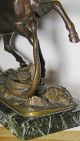 Pferdefigur In Bronze - Rarität - Bronze Bild 4