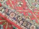 Wunder Schone Alt Antik Handgeknüpft Europäisch Teppich192 X 295 Cm. Teppiche & Flachgewebe Bild 10