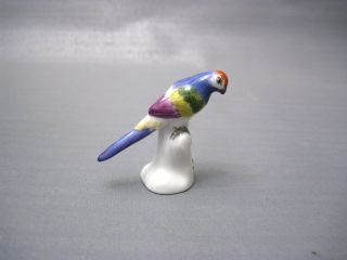 Meissen Miniatur Figur Als Papagei.  1.  Wahl Bild